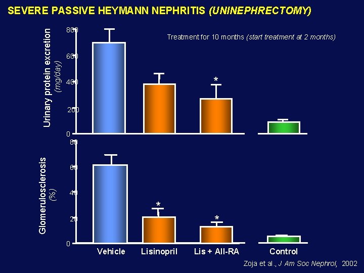 800 Treatment for 10 months (start treatment at 2 months) 600 (mg/day) Urinary protein