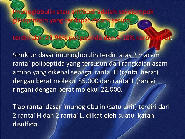 Imunoglobulin atau antibodi adalah sekelompok glikoprotein yang terdapat dalam serum. terdiri dari 82 -96%