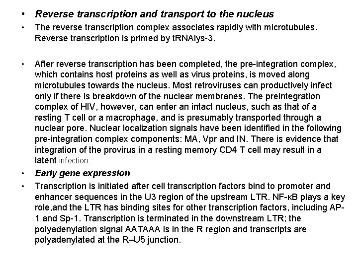  • Reverse transcription and transport to the nucleus • The reverse transcription complex