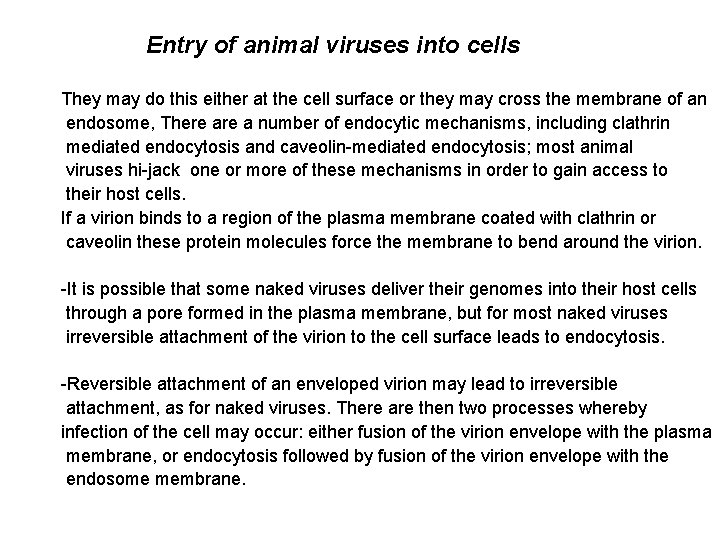Entry of animal viruses into cells They may do this either at the cell