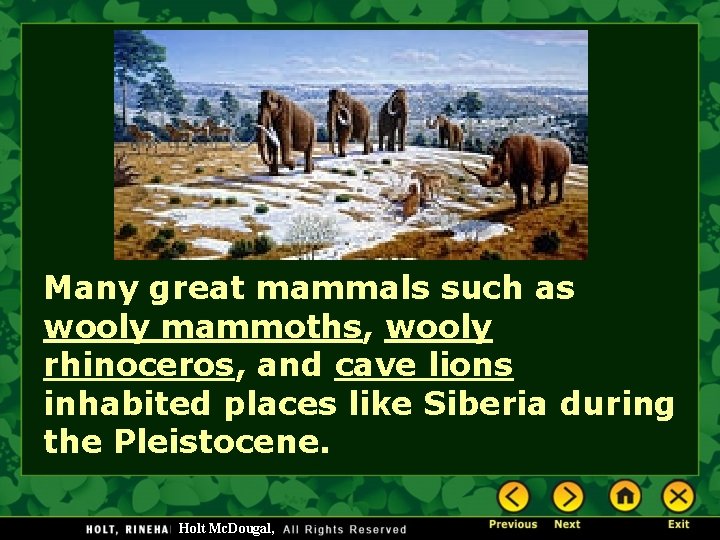 Many great mammals such as wooly mammoths, wooly rhinoceros, and cave lions inhabited places
