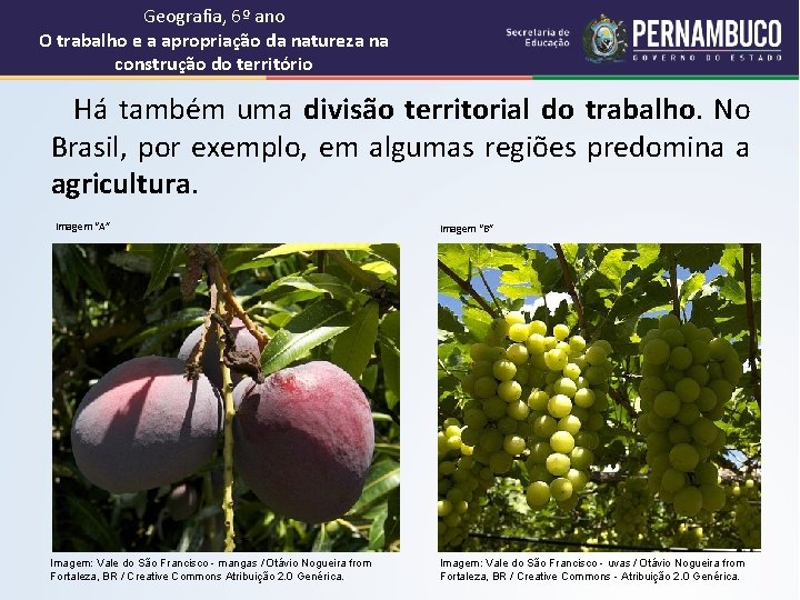 Geografia, 6º ano O trabalho e a apropriação da natureza na construção do território