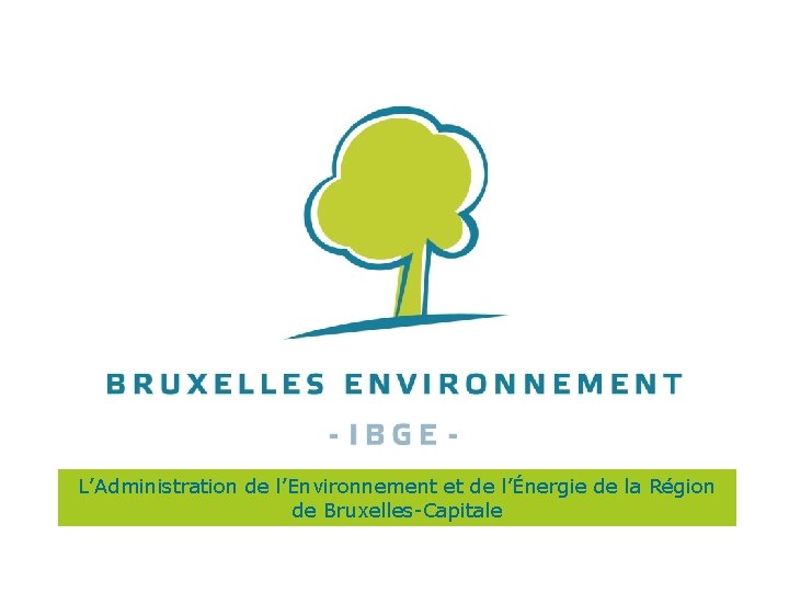 L’Administration de l’Environnement et de l’Énergie de la Région de Bruxelles-Capitale 