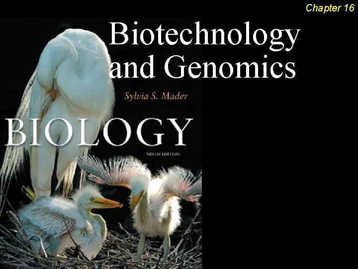 Chapter 16 Biotechnology and Genomics 