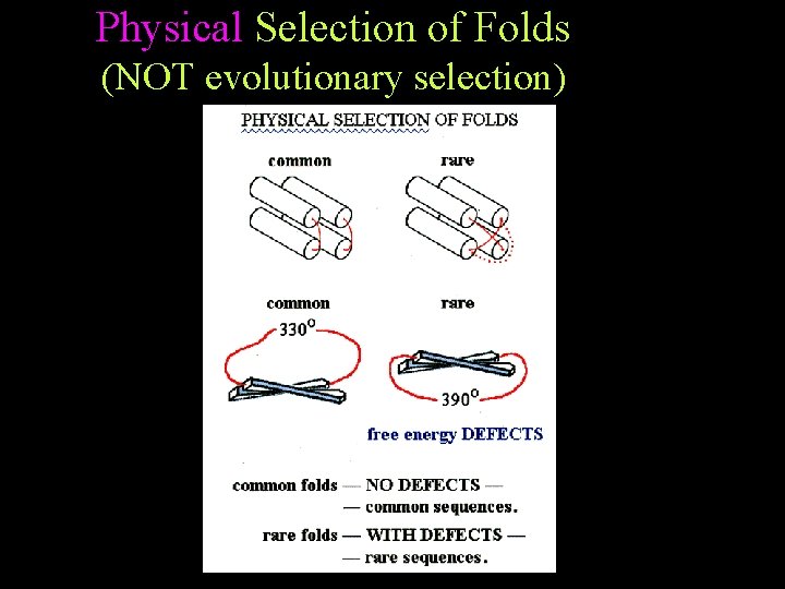 Physical Selection of Folds (NOT evolutionary selection) Physical Selection of Folds (NOT evolutionary selection)