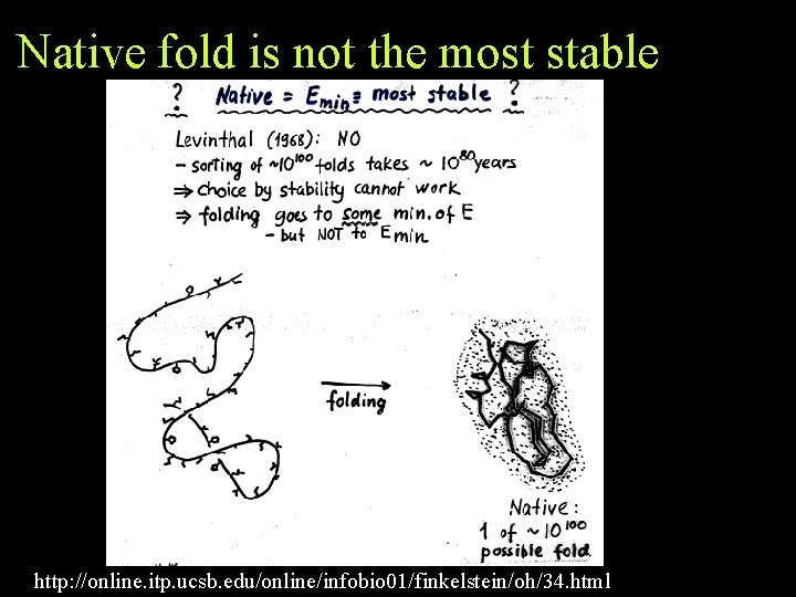 Native fold is not the most stable http: //online. itp. ucsb. edu/online/infobio 01/finkelstein/oh/34. html Native fold is not the most stable http: //online. itp. ucsb. edu/online/infobio 01/finkelstein/oh/34. html