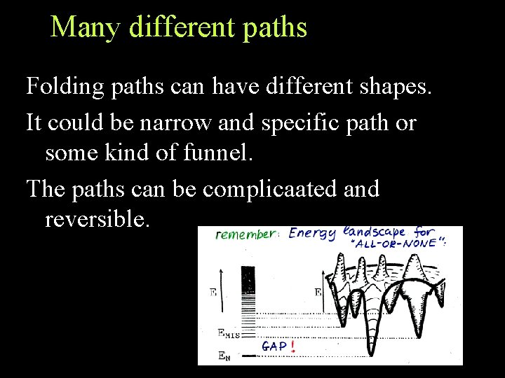 Many different paths Folding paths can have different shapes. It could be narrow and Many different paths Folding paths can have different shapes. It could be narrow and