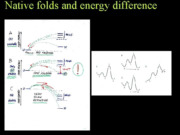 Native folds and energy difference Native folds and energy difference