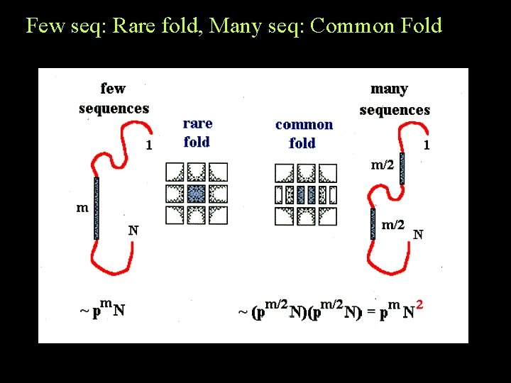 Few seq: Rare fold, Many seq: Common Fold Few seq: Rare fold, Many seq: Common Fold