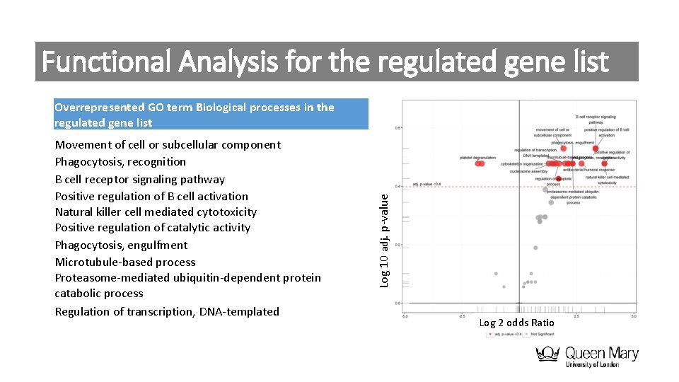 Functional Analysis for the regulated gene list Movement of cell or subcellular component Phagocytosis,