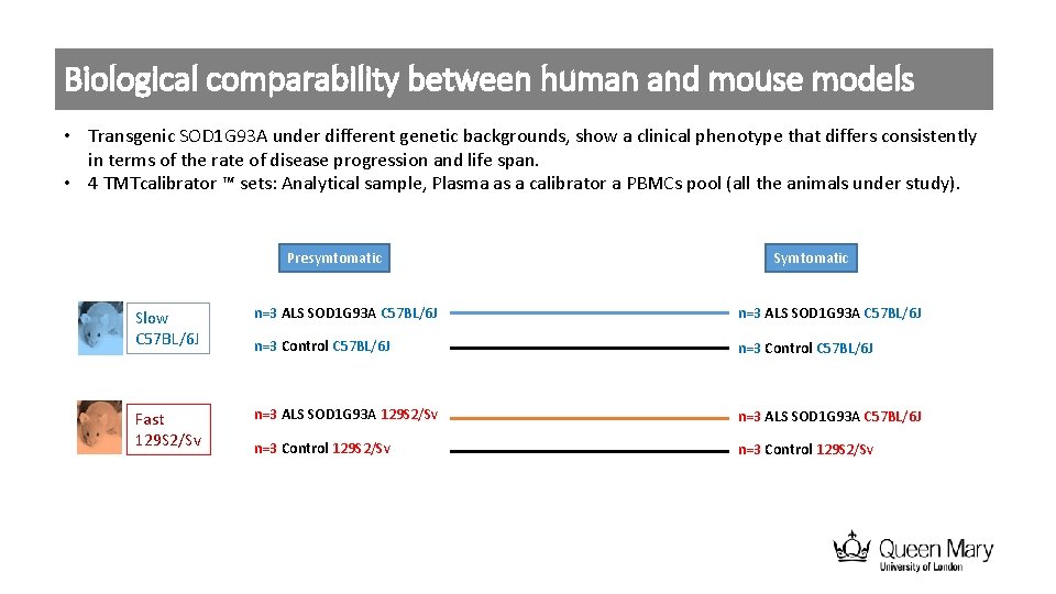 Biological comparability between human and mouse models • Transgenic SOD 1 G 93 A