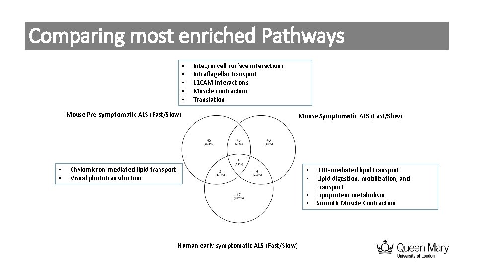 Comparing most enriched Pathways • • • Integrin cell surface interactions Intraflagellar transport L