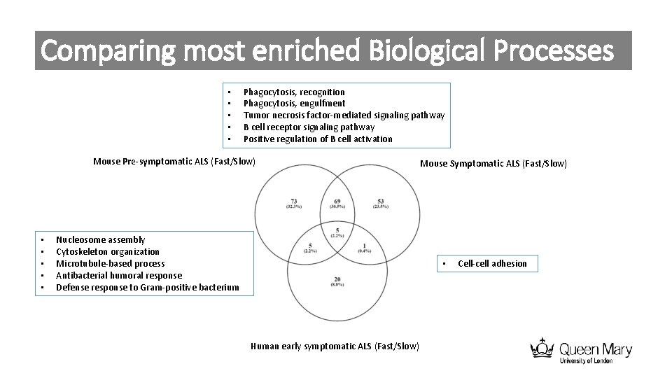 Comparing most enriched Biological Processes • • • Phagocytosis, recognition Phagocytosis, engulfment Tumor necrosis