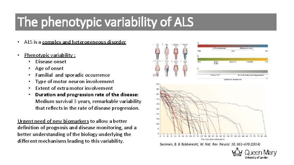 The phenotypic variability of ALS • ALS is a complex and heterogeneous disorder •