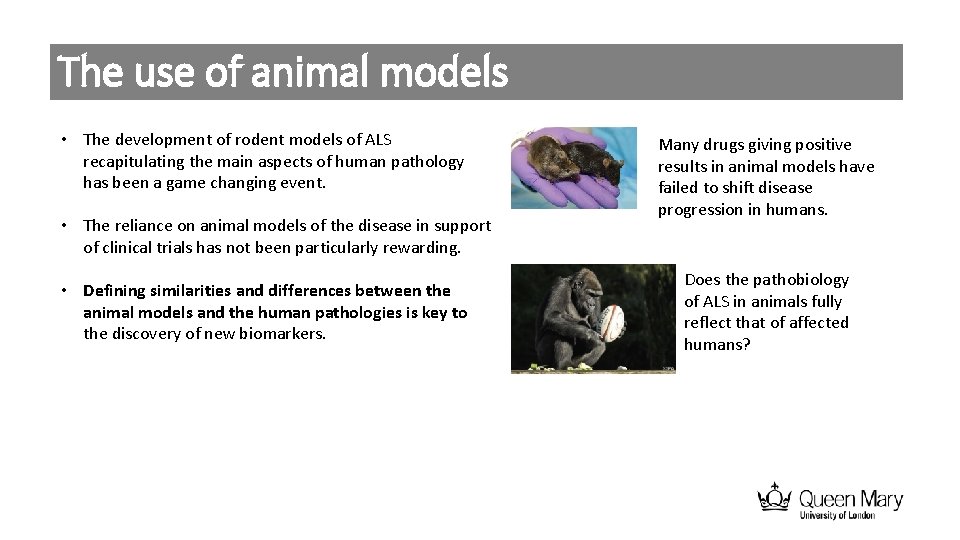 The use of animal models • The development of rodent models of ALS recapitulating