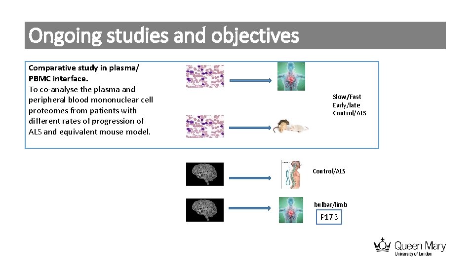 Ongoing studies and objectives Comparative study in plasma/ PBMC interface. To co-analyse the plasma