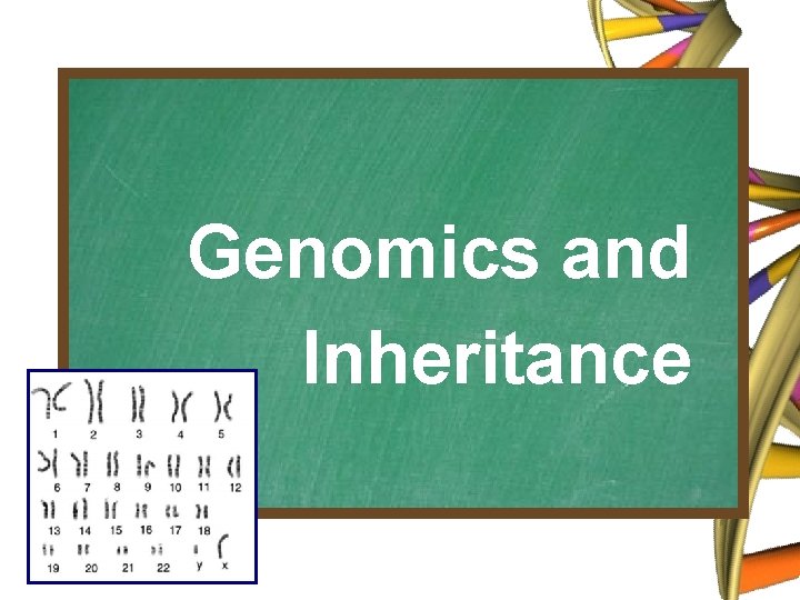 Genomics and Inheritance 