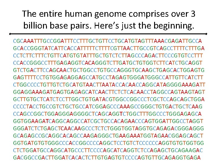 The entire human genome comprises over 3 billion base pairs. Here’s just the beginning.