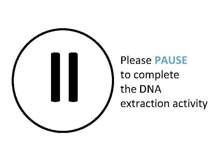 ll Please PAUSE to complete the DNA extraction activity 