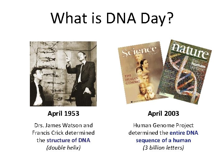 What is DNA Day? April 1953 April 2003 Drs. James Watson and Francis Crick