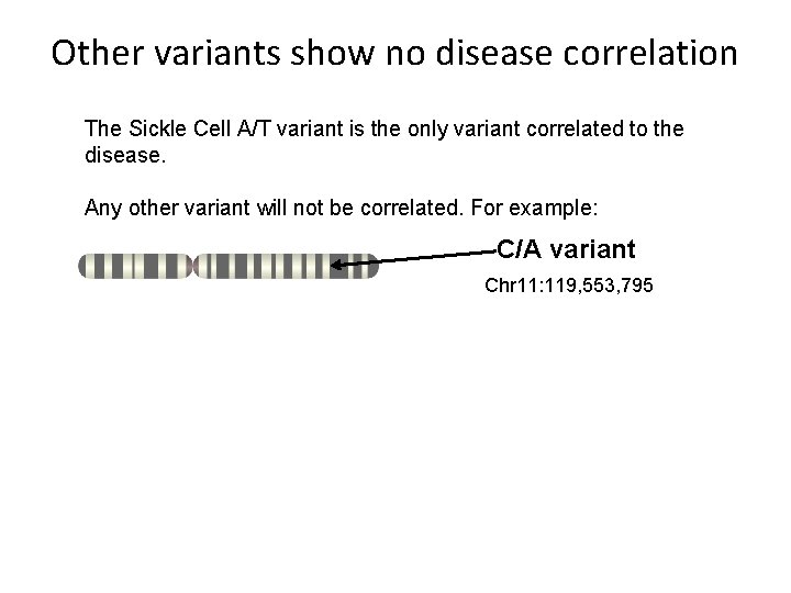 Other variants show no disease correlation The Sickle Cell A/T variant is the only