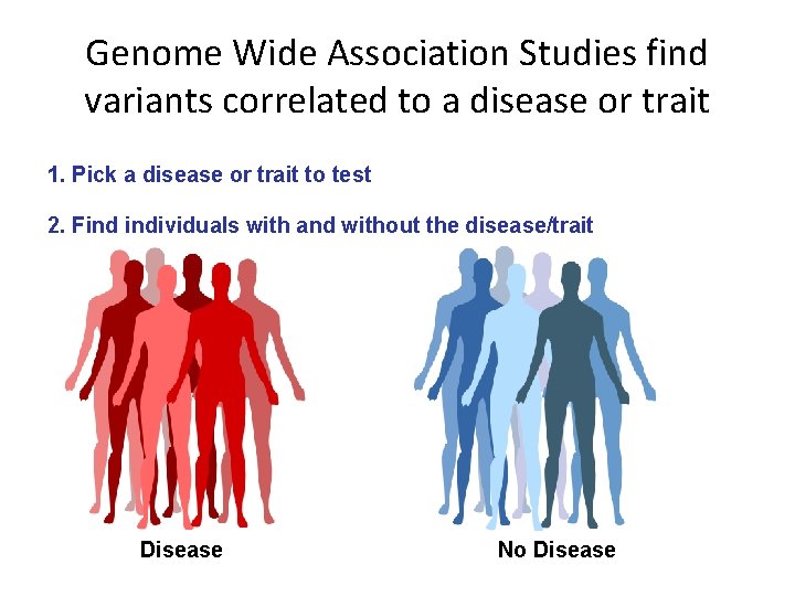 Genome Wide Association Studies find variants correlated to a disease or trait 1. Pick