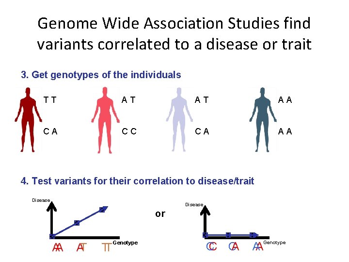 Genome Wide Association Studies find variants correlated to a disease or trait 3. Get