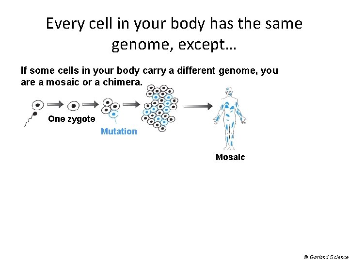 Every cell in your body has the same genome, except… If some cells in