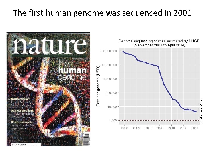 Ben Moore, wikipedia. org The first human genome was sequenced in 2001 