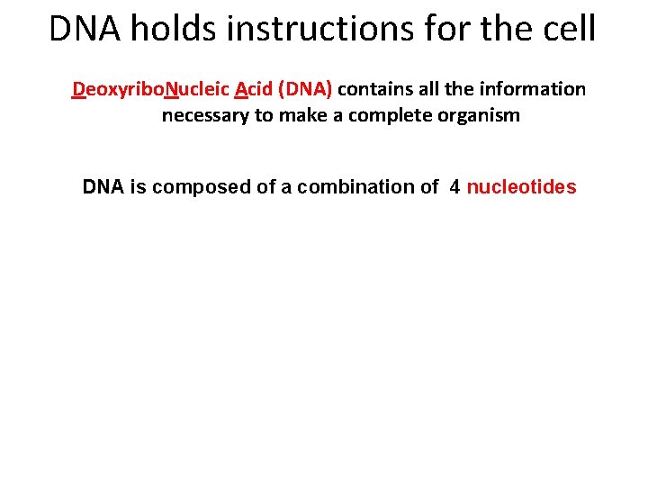 DNA holds instructions for the cell Deoxyribo. Nucleic Acid (DNA) contains all the information