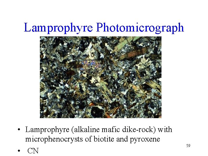 Lamprophyre Photomicrograph • Lamprophyre (alkaline mafic dike-rock) with microphenocrysts of biotite and pyroxene •
