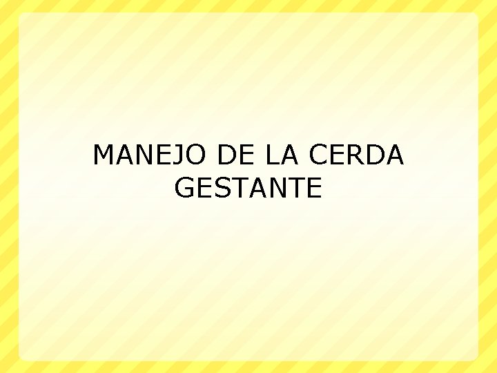 MANEJO DE LA CERDA GESTANTE 