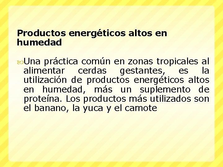 Productos energéticos altos en humedad Una práctica común en zonas tropicales al alimentar cerdas