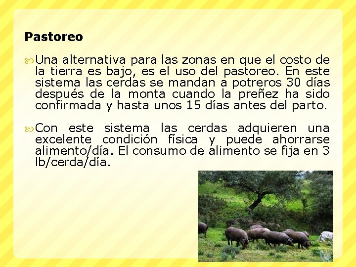 Pastoreo Una alternativa para las zonas en que el costo de la tierra es