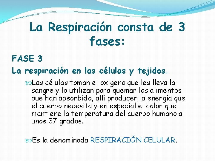 La Respiración consta de 3 fases: FASE 3 La respiración en las células y La Respiración consta de 3 fases: FASE 3 La respiración en las células y