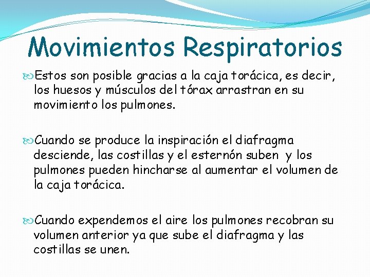 Movimientos Respiratorios Estos son posible gracias a la caja torácica, es decir, los huesos Movimientos Respiratorios Estos son posible gracias a la caja torácica, es decir, los huesos