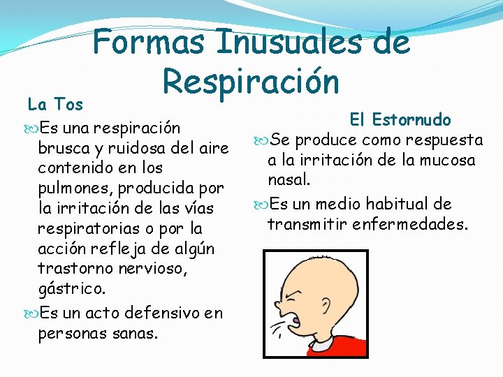 Formas Inusuales de Respiración La Tos Es una respiración brusca y ruidosa del aire Formas Inusuales de Respiración La Tos Es una respiración brusca y ruidosa del aire