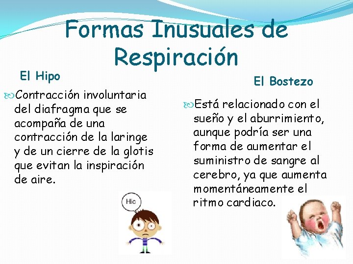 El Hipo Formas Inusuales de Respiración Contracción involuntaria del diafragma que se acompaña de El Hipo Formas Inusuales de Respiración Contracción involuntaria del diafragma que se acompaña de