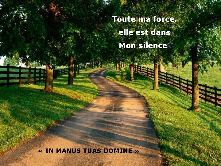 Toute ma force, elle est dans Mon silence. « IN MANUS TUAS DOMINE »