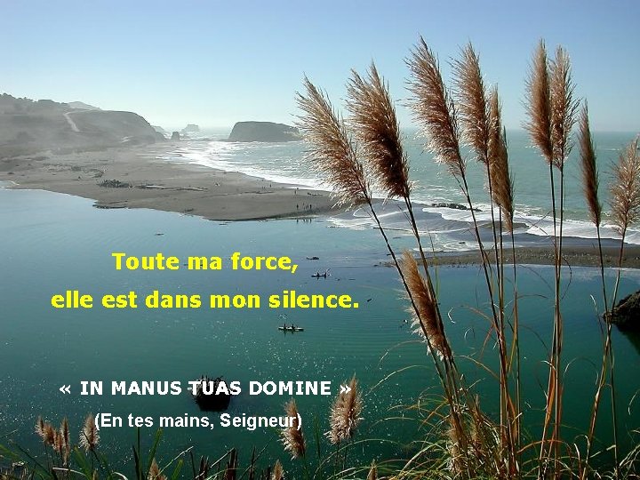 Toute ma force, elle est dans mon silence. « IN MANUS TUAS DOMINE »