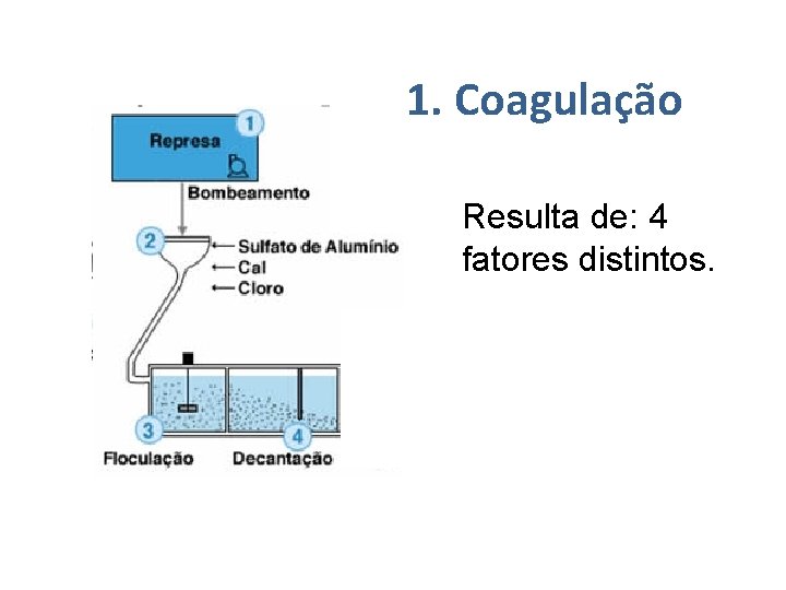 1. Coagulação Resulta de: 4 fatores distintos. 
