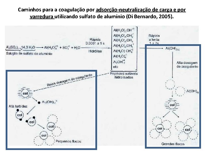 Caminhos para a coagulação por adsorção-neutralização de carga e por varredura utilizando sulfato de