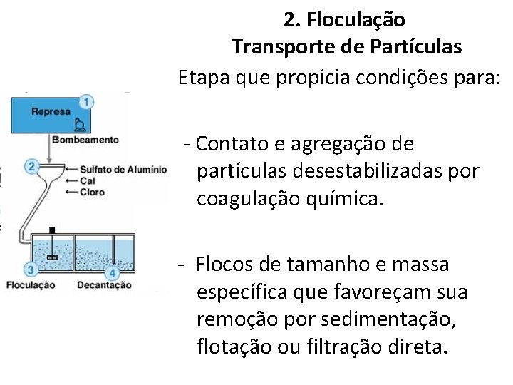 2. Floculação Transporte de Partículas Etapa que propicia condições para: - Contato e agregação