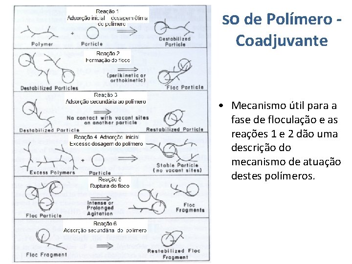 so de Polímero Coadjuvante • Mecanismo útil para a fase de floculação e as