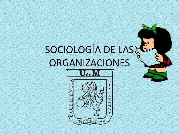 SOCIOLOGÍA DE LAS ORGANIZACIONES 