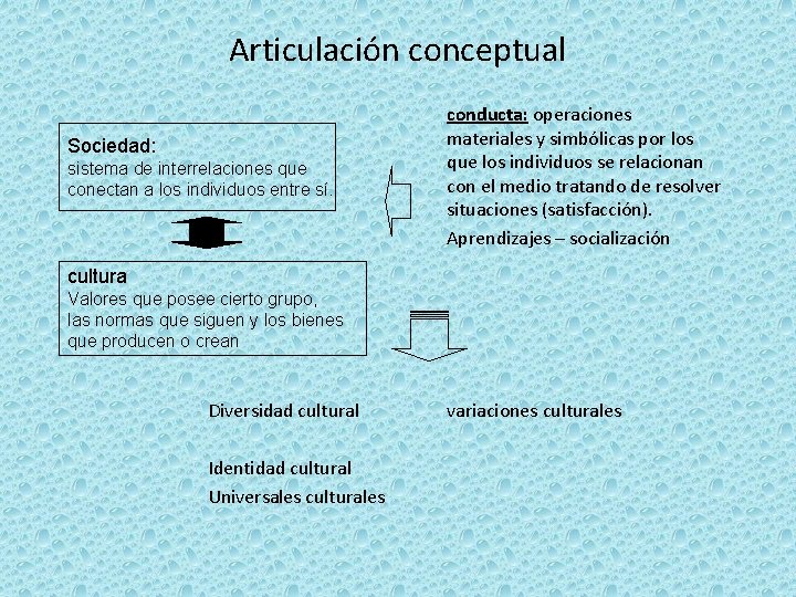 Articulación conceptual Sociedad: sistema de interrelaciones que conectan a los individuos entre sí. conducta: