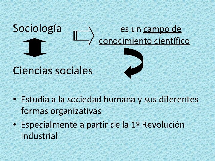 Sociología es un campo de conocimiento científico Ciencias sociales • Estudia a la sociedad