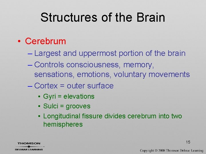 Structures of the Brain • Cerebrum – Largest and uppermost portion of the brain