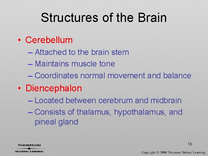 Structures of the Brain • Cerebellum – Attached to the brain stem – Maintains