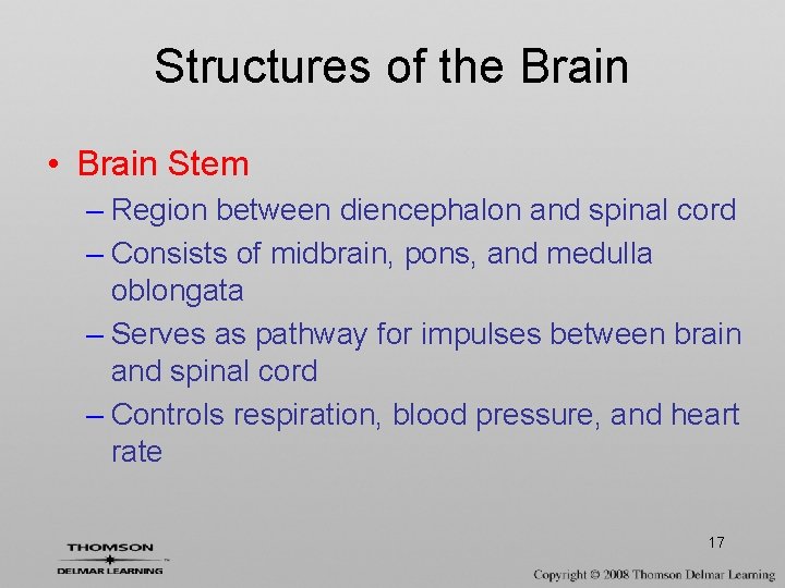 Structures of the Brain • Brain Stem – Region between diencephalon and spinal cord